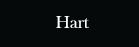 Hart